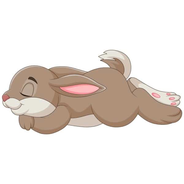 Sticker petit lapin qui dort
